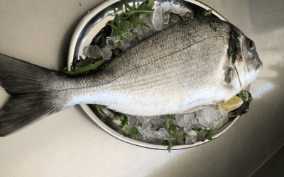 El mejor pescado fresco frente en Comarruga y Vendrell